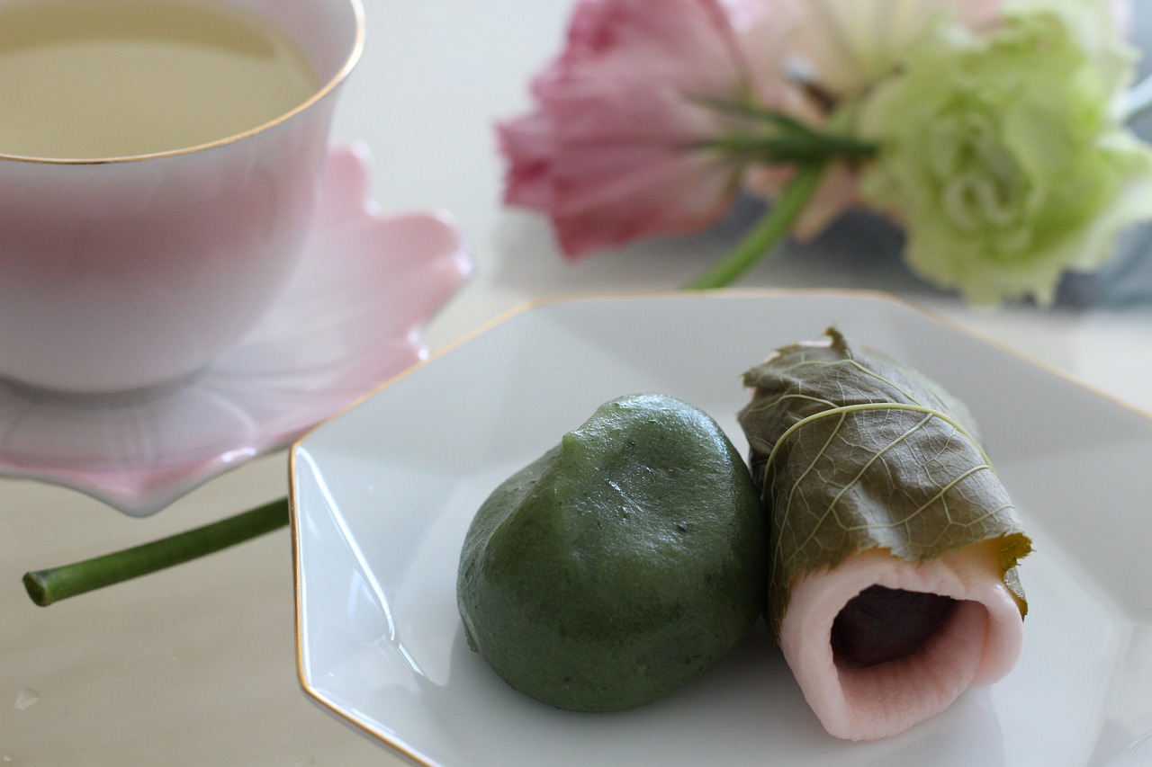 孕妈供卵生的宝宝吃的菜有哪些（孕妈供卵生的宝宝喜欢吃的菜做法）